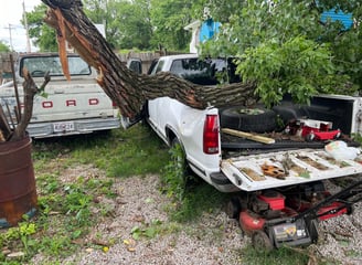 Tree fell and Wrecked truck  Sept 2024