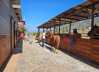 Ramajal Riders corrals and barn
