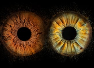 iris foto für Paare, Pärchen, , Auge, Macroaufnahme,
