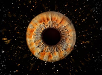 iris foto, Einzeliris, Auge, Macroaufnahme