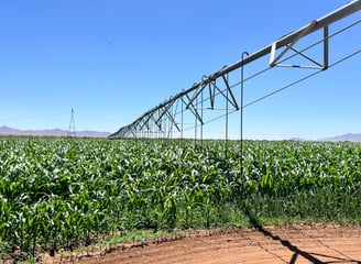 Sistema de riego en Rancho