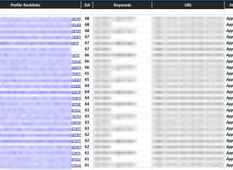High Quality backlinks building