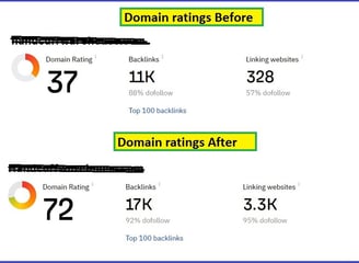 Domain ratings improvement services