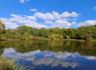Lake with reflection and trees in background in Capstone Park