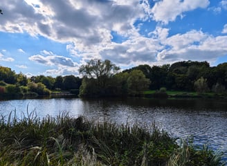 Lake and trees in Capstone Farm Country Park
