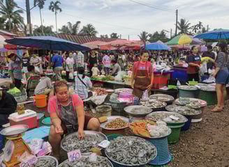 ตลาดนัด ฝนทอง (Talat Nat Fontok), Chumphon 