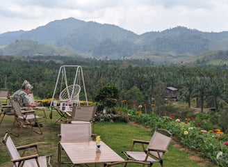 Hen Tae khao cafe, sawi Chumphon