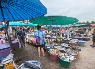 ตลาดนัด ฝนทอง (Talat Nat Fontok), Chumphon 