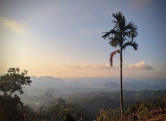 Doï Tapang, Sawi Chumphon