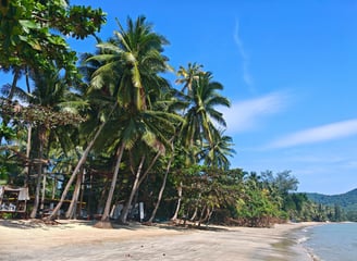 To the moon, Thung Makham Chumphon