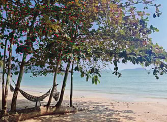 To the moon, Thung Makham Chumphon