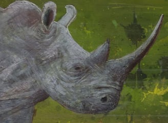 a rhinocerus