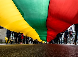 Demonstracija su Lietuvos vėliava