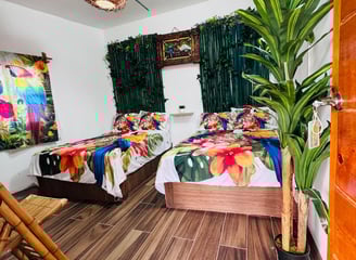 habitación guacamaya distinguida por su naturaleza y aves exóticas