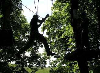 Accrobranche