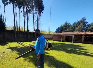 Limpeza de terreno