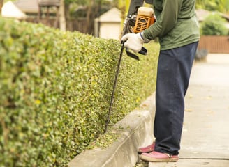 Shrub trimming and reshaping