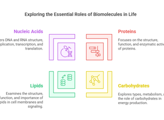 Roles of Biomolecules in Life