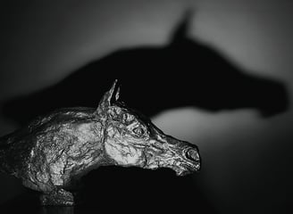Oeuvre d'artiste-Tête de cheval arabe en bronze- art animalier