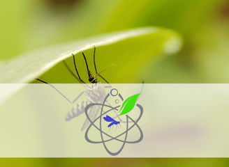 Mosquito control service