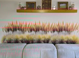 Pampas Grass