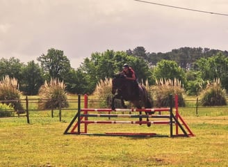 Carrière de CSO