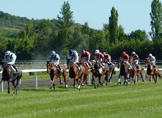 course hippique