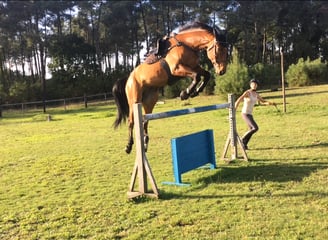 saut en liberté