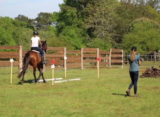 cours d'équitation