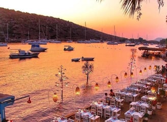 Gümüşlük Vip Vito Transfer