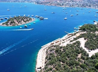 Türkbükü Vip Vito Transfer