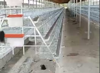 Battery cage