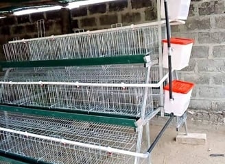 Battery cage