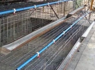 Battery cage