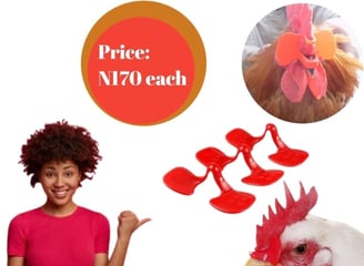Chicken Google