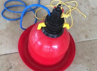Bell drinker