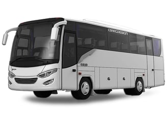 Bus 40 seat - transport service