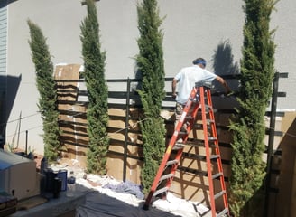 Fabrication and Installation of Iron Trellis