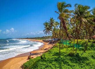 Digital Marketing in Mangalore