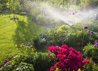 a garden with flowers and a sprinkler
