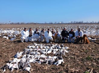 conservation season goose hunts