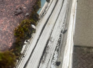 exterior cleaning services Fife - clean gutter