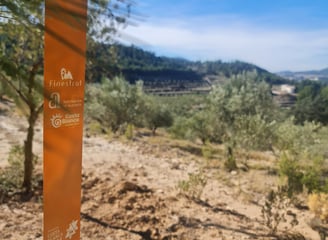l'environnement est aussi idéal à la pratique sportive et la randonnée