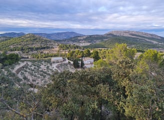 Masia La Pastora, une magnifique oliveraie produisant une huile d'olive extra vierge écologique