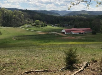 horse boarding facility elizabehton tn