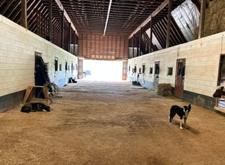 horse stable riding arena Tri-cities TN