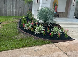 Tropical Gardens Nursery
