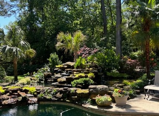 Tropical Gardens Nursery
