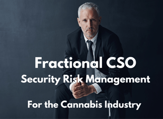 Fractional Chief Security Officer