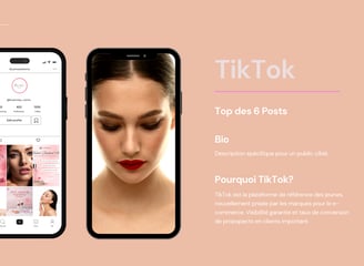 Utilisation de TikTok, référencement, design, optimisation, création de contenu, e-commerce